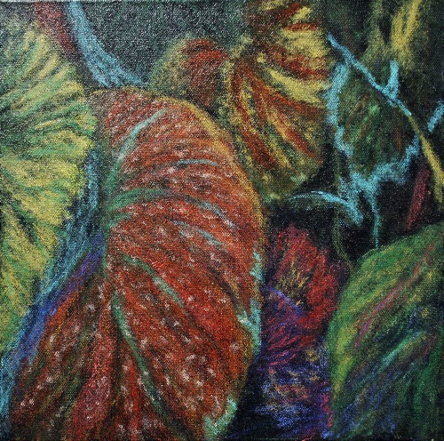 Leaf Variations 2
12” x 12”
pastel & acrylic on canvas
©2015